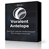 Voralent Antelope